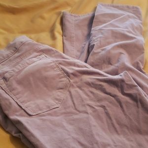 Modern skinny LOFT CORDUROY SZ 14